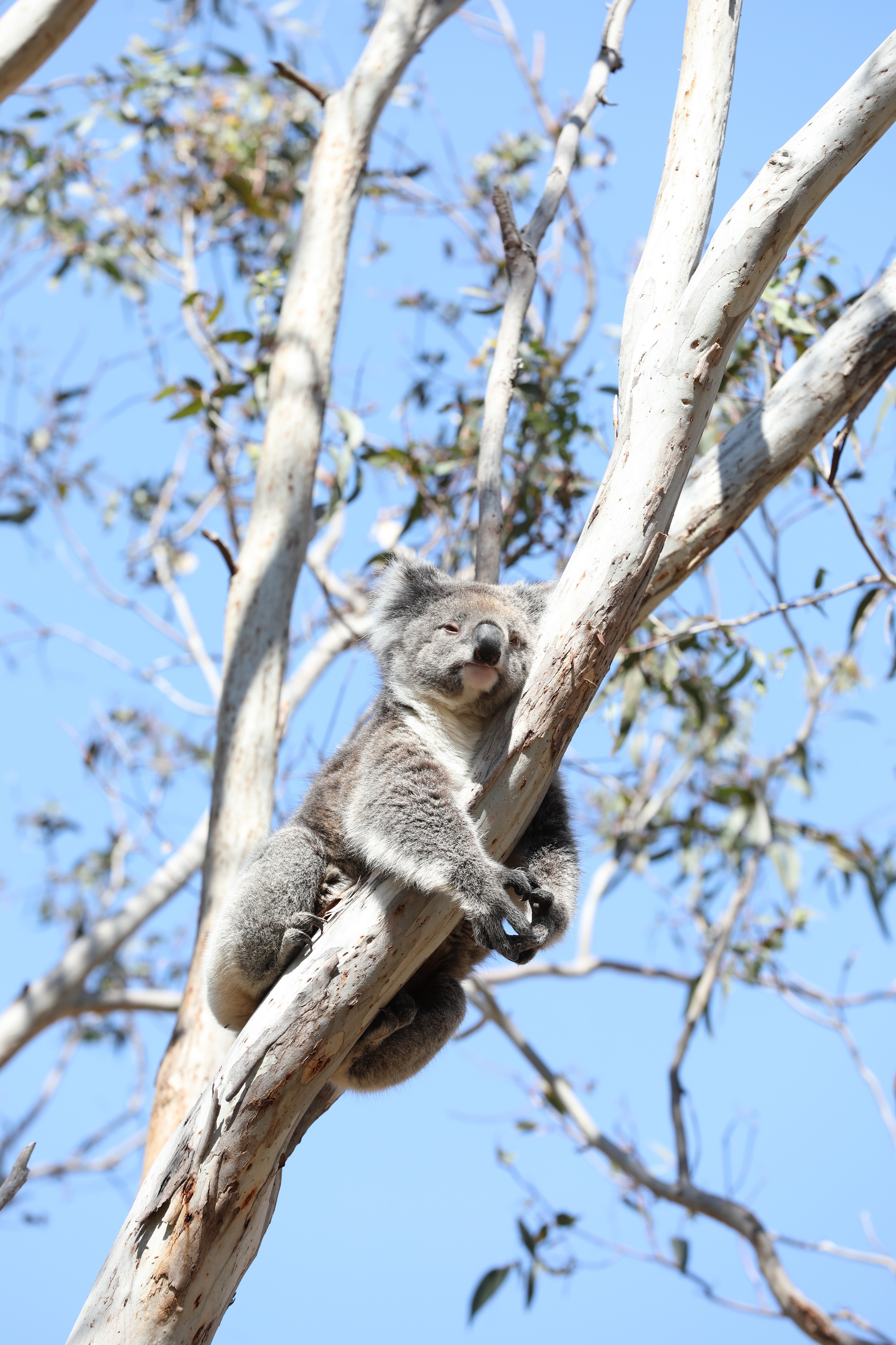 2019 10 01 10 49 42 Canon EOS 5D Mark IV 0008